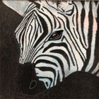 Zebra</br>24" x 30"